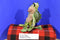 Manley DreamWorks Monsters vs Aliens The Missing Link 2009 Plush