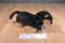Aurora Mini Flopsies Vienna Black and Tan Dachshund Beanbag Plush