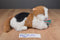 Commonwealth Rabbit Ears Production Gingham Calico Cat 1990 Plush