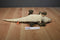 Wild Republic Baby Alligator/Crocodile 2019 Plush