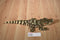 Wild Republic Baby Alligator/Crocodile 2019 Plush
