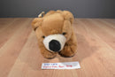 A&A Fancy Zoo Grizzly Bear Plush Bag Purse