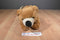 A&A Fancy Zoo Grizzly Bear Plush Bag Purse