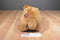 A&A Fancy Zoo Grizzly Bear Plush Bag Purse