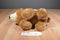 A&A Fancy Zoo Grizzly Bear Plush Bag Purse