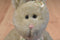 Boyd's Bears Dippy D. Hopplebuns Rabbit 2003 Beanbag Plush