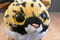 Ty Classic Larry Lynx 2017 Beanbag Plush