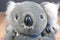 Australia Mother Koala With Babies Plush