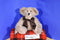 Boyd's The Mohair Collection Adams F. Bearington 1997 Jointed Plush