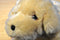 Golden Retriever Puppy Dog With Embroidered Eyes Plush