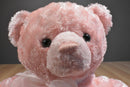 Gund Pink Life Teddy Bear Plush