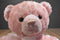 Gund Pink Life Teddy Bear Plush