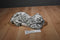 Aurora Snow Leopard Beanbag Plush