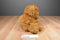 Gund Floppy Brown Bear 1982 Beanbag Plush
