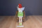 Disney Store Christmas Peter Pan Tinkerbell Plush