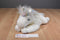 Ty Beanie Buddy Mystic Unicorn 2001 Beanbag Plush
