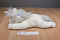 Ty Beanie Buddy Mystic Unicorn 2001 Beanbag Plush