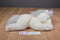 Ty Beanie Buddy Mystic Unicorn 2001 Beanbag Plush