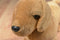 Ty Beanie Buddy 1999 and Baby 1995 Weenie Dachshund Beanbag Plushes