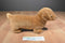 Ty Beanie Buddy 1999 and Baby 1995 Weenie Dachshund Beanbag Plushes