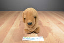 Ty Beanie Buddy 1999 and Baby 1995 Weenie Dachshund Beanbag Plushes