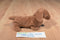 Ty Beanie Buddy 1999 and Baby 1995 Weenie Dachshund Beanbag Plushes