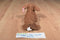 Ty Beanie Buddy 1999 and Baby 1995 Weenie Dachshund Beanbag Plushes