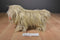 Ty Classic Duster the Brown Shaggy Dog 1999 Beanbag Plush