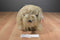 Ty Classic Duster the Brown Shaggy Dog 1999 Beanbag Plush