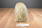 Ty Classic Duster the Brown Shaggy Dog 1999 Beanbag Plush