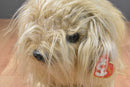 Ty Classic Duster the Brown Shaggy Dog 1999 Beanbag Plush