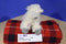 Aurora Mini Gray Faced Sheep 2018 Beanbag Plush