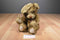 Dan Dee 100th Anniversary Theodore Roosevelt Jointed Teddy Bear 2002 Plush