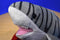 Wild Republic Grey and Black Tiger Shark 2017 Beanbag Plush