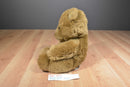 DGE Corp Brown Teddy Bear Beanbag Plush