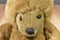 DGE Corp Brown Teddy Bear Beanbag Plush