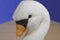 Circo White Swan 2010 Beanbag Plush