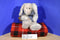Boyd's Bears Mohair Rosalynn P. Harrington Beige Rabbit 1998 Plush
