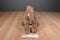 Goffa Bactrian Camel Plush