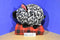 Fab NY Black and White Leopard Print Plush Piggy Bank