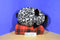 Fab NY Black and White Leopard Print Plush Piggy Bank