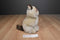 Gund Grumpy Cat Siamese Cat Plush