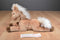 Gund Wildwind Floppy Beige Horse Beanbag Plush