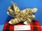 Aurora Miyoni Tots Grey White Tabby Kitten Cat Plush