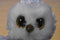 Ty Beanie Boos Owliver 2014 and Owlette 2017 Owls Beanbag Plush