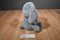 Animal Adventure Grey Elephant 2020 Plush