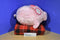 Fab NY Pink Pig Plush Piggy Bank