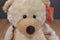 Aurora Puddin Bear Beanbag Plush