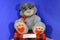 Animal Adventure Big Feet Grey Puppy Dog with Heart Feet 2018 Plush