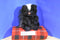 Gibson Greetings Forest Young'uns Skunk Plush